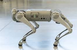 Doggo